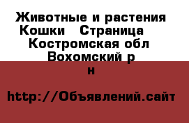 Животные и растения Кошки - Страница 7 . Костромская обл.,Вохомский р-н